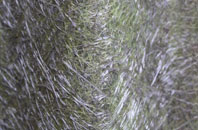 Topcliffe fibreglass roof work